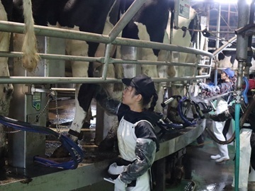 株式会社メイプル牧場-3