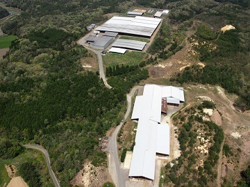 株式会社メイプル牧場-8