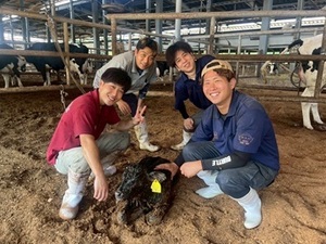 株式会社浜田メイプル牧場-top