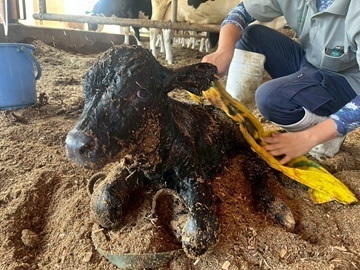 株式会社浜田メイプル牧場-2