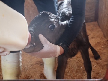 株式会社浜田メイプル牧場-3