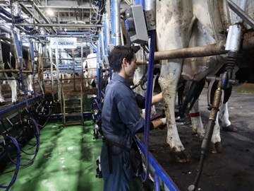 株式会社浜田メイプル牧場-6