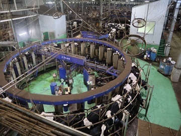 株式会社浜田メイプル牧場-7