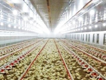 株式会社アイオイ-7