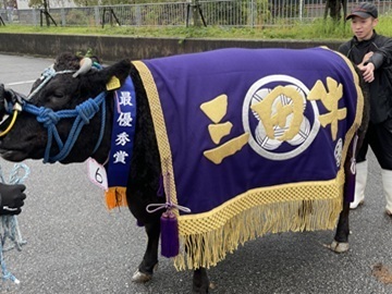 三田勢戸牧場-7