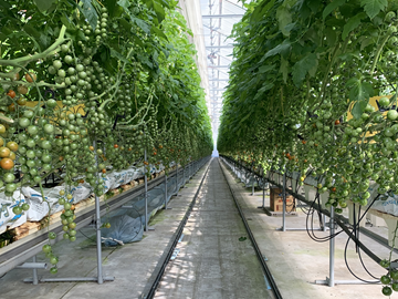 株式会社はなと-1