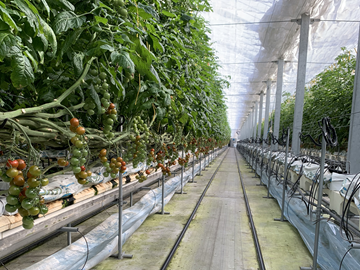 株式会社はなと-4