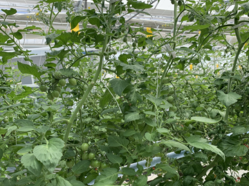 株式会社はなと-3