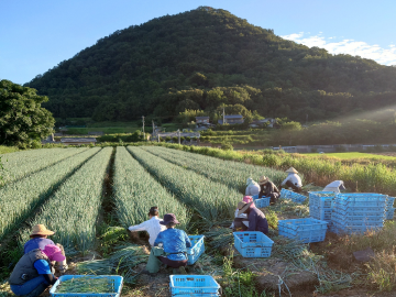 株式会社荒川農園-1