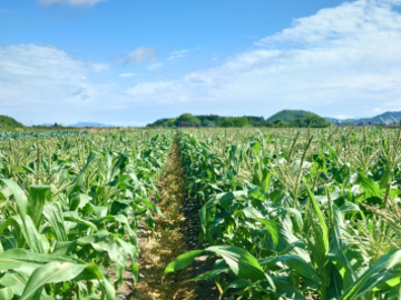 株式会社荒川農園-2