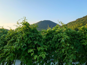 株式会社荒川農園-7