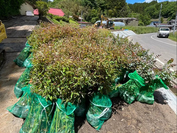 株式会社レック-5