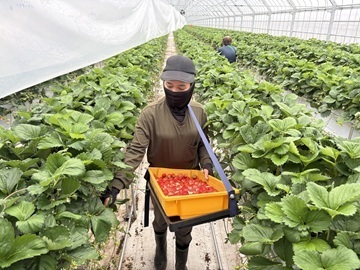 合同会社瀬戸内サラダ-1