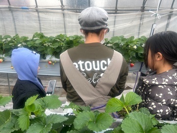 合同会社瀬戸内サラダ-2