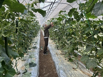 合同会社瀬戸内サラダ-5