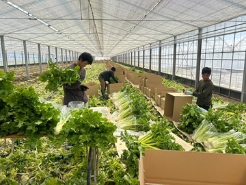 合同会社瀬戸内サラダ-7