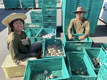 合同会社瀬戸内サラダ-8