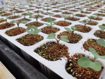 株式会社日本農林社-1