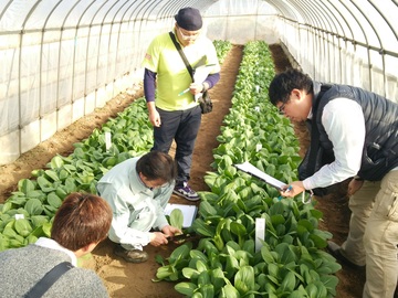 株式会社日本農林社-2