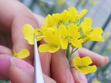 株式会社日本農林社-4