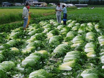 株式会社日本農林社-7