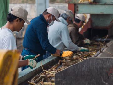 株式会社プラスナレッジ【波照間島】-1