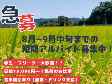 有限会社渡辺与四郎商店-top