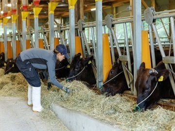 兵庫田中畜産株式会社-1