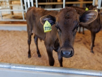 兵庫田中畜産株式会社-3