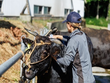 兵庫田中畜産株式会社-8