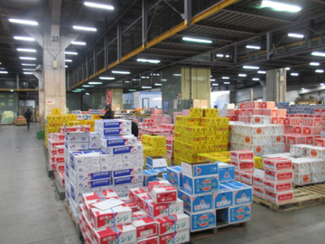 TOKYOフレッシュ株式会社-1