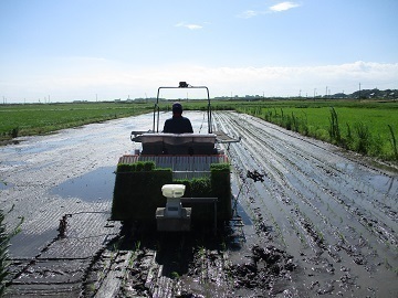 株式会社北龍ファーム-5