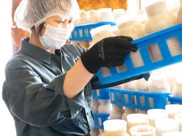 きのこの森有限会社-1