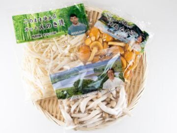 きのこの森有限会社-2