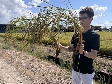 北海道札幌市×資材営業/法人【42271】-2