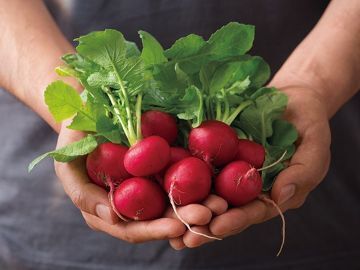 オイシックス・ラ・大地株式会社【東京都:品質保証】-1