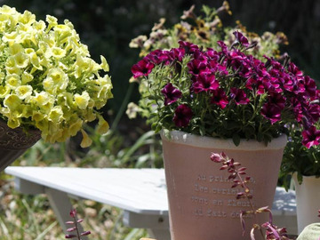 神奈川県横浜市×海外営業/法人【40012】-4