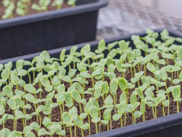 神奈川県横浜市×海外営業/法人【40012】-2