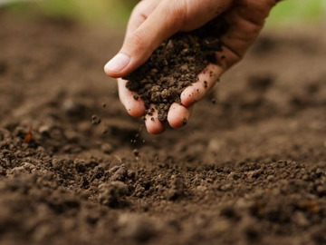 神奈川県横浜市×海外営業/法人【40012】-3