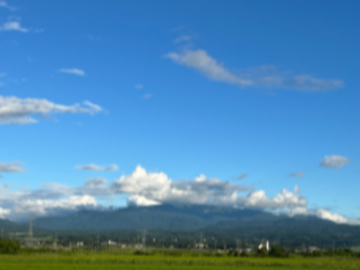 成澤養豚株式会社-3