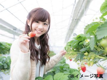 千葉県木更津市×観光農園/法人【40491】-1