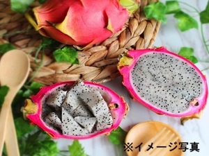 合同会社かをり果樹園石垣-top