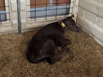 株式会社アグリみらい-5