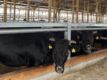 株式会社アグリみらい-8