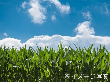 香川県坂出市×種苗品種改良研究職/法人【42288】-2