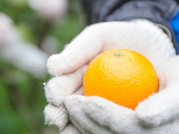 株式会社OSN/OrangeStoreニノミヤ【正社員】-3