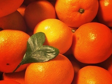 株式会社OSN/OrangeStoreニノミヤ-4