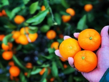 株式会社OSN/OrangeStoreニノミヤ-5