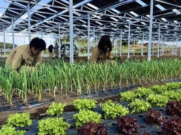 EGファーム株式会社-2