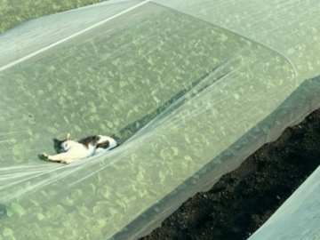 株式会社ツノダファーム-8